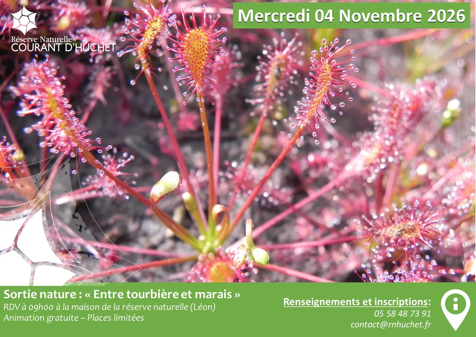 Sortie Tourbière et marais - 2026