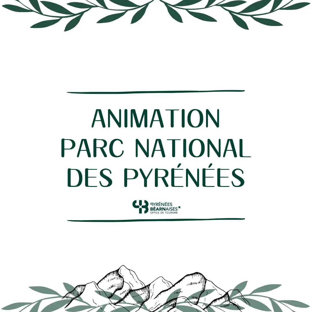 Animation PNP
