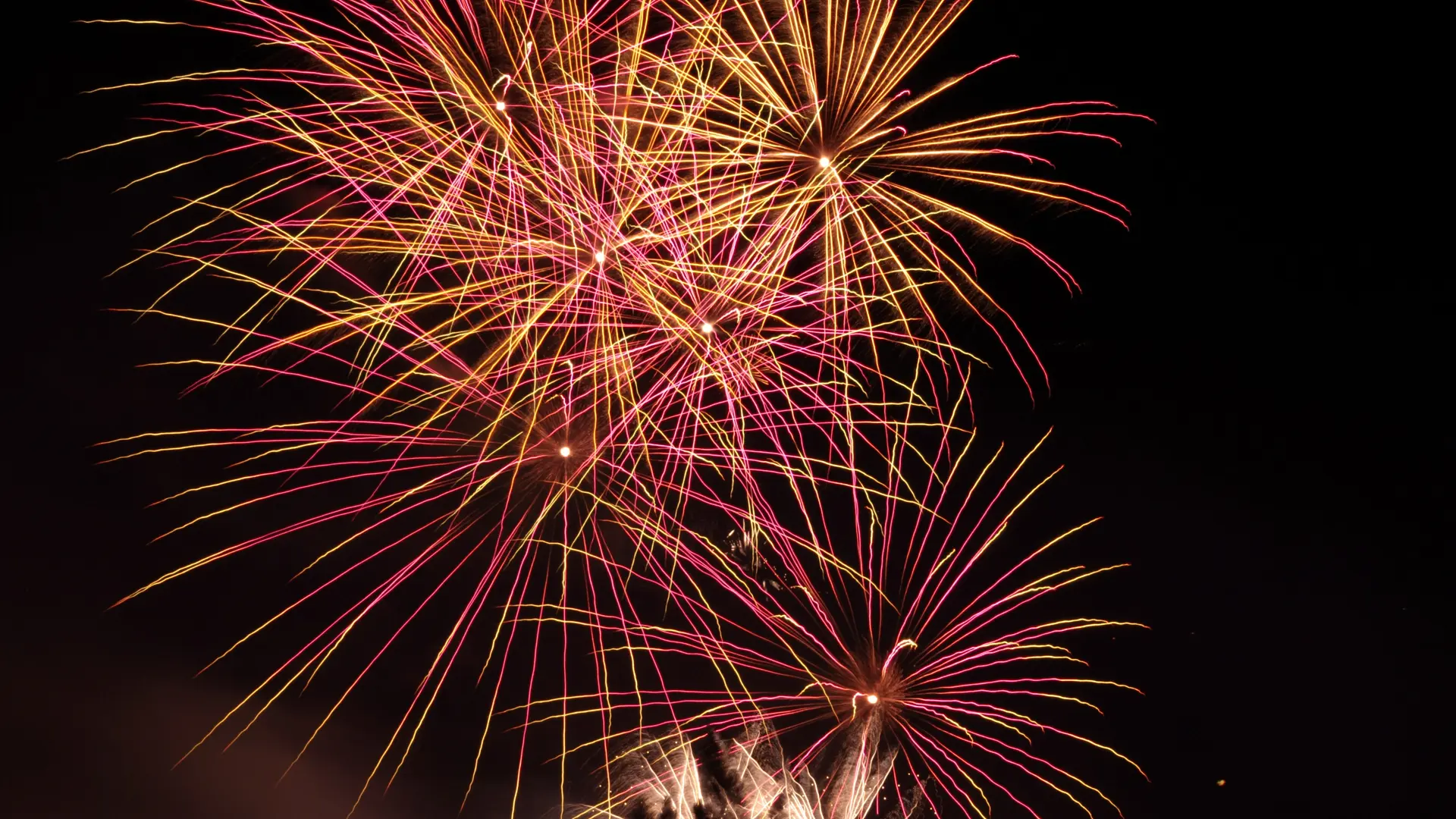 feu d'artifice_1