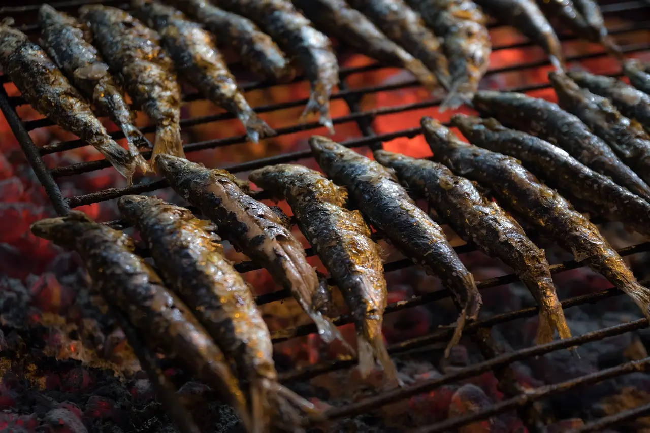 sardines-3492588_1280