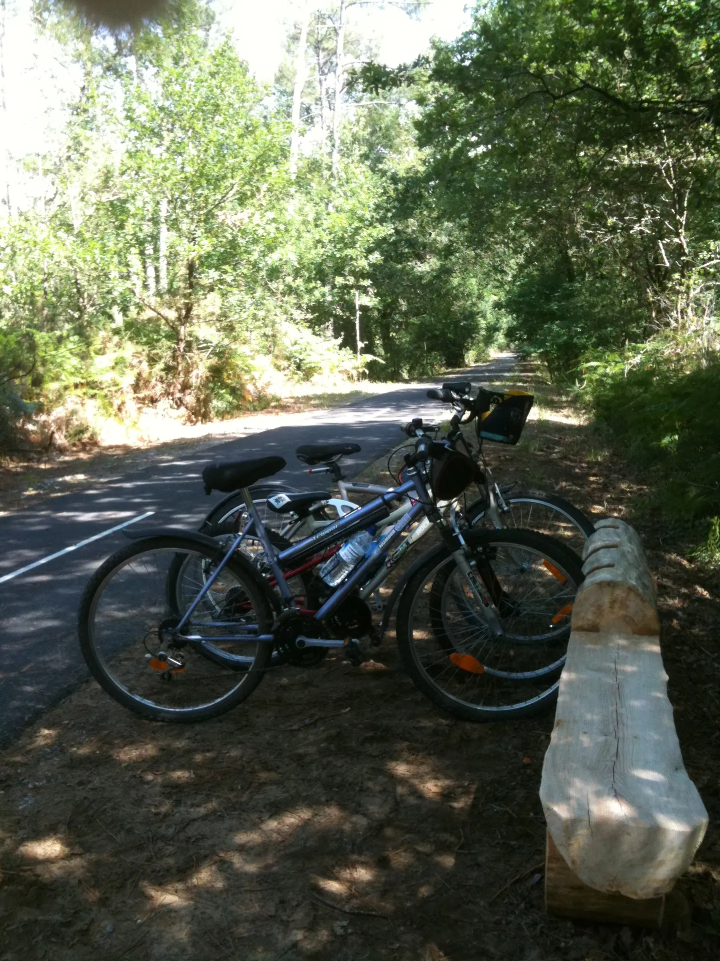 © FERNANDES Emmanuelle - LINXE -Piste cyclable Lou Camin de Hè (2)