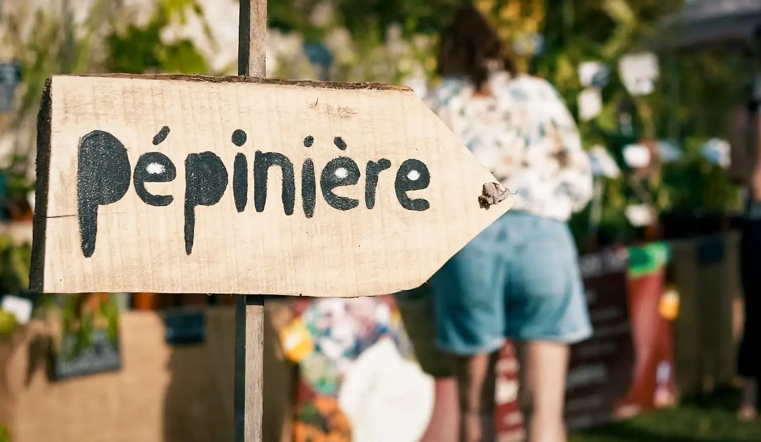 Pépinière Maathaï