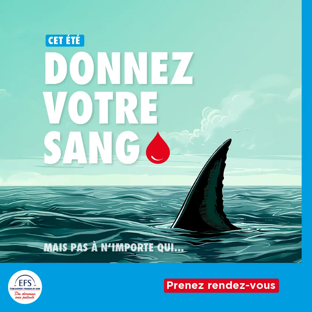 1080x1080px_Carré générique_Été_Requin 2025