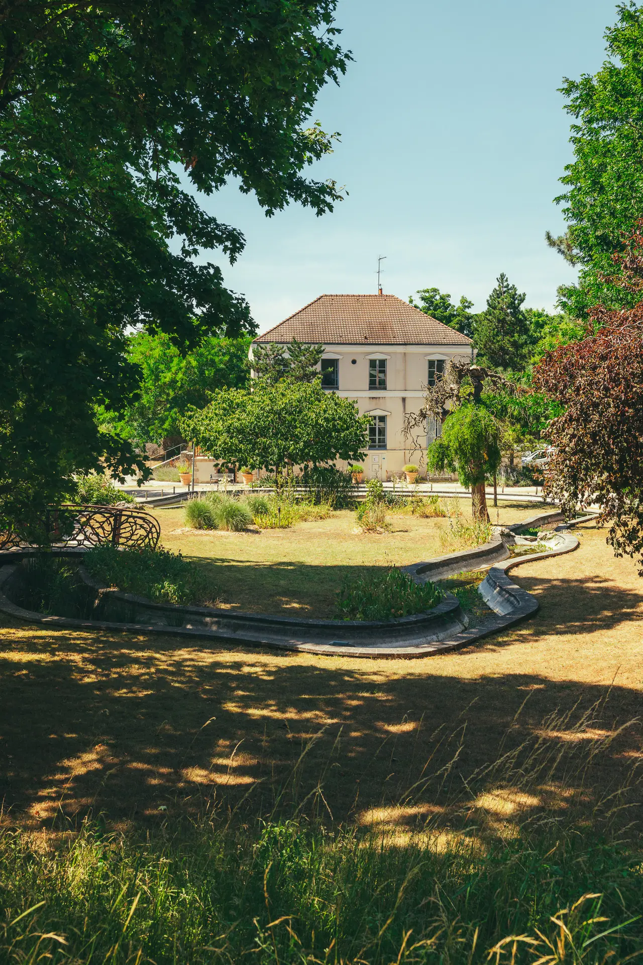 sortie ornithologique dans le parc de la boucle de la Seine à Montesson