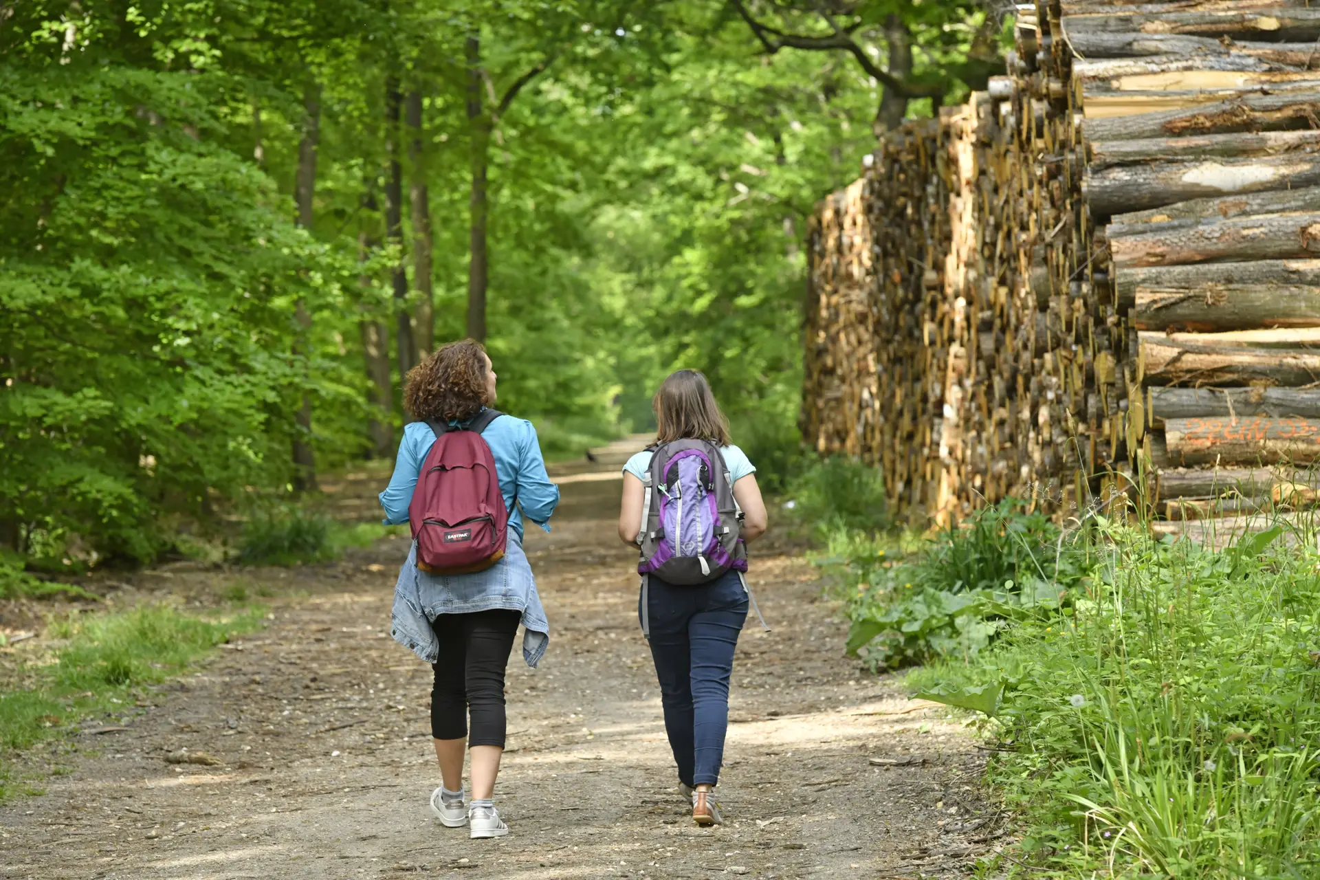 Rando futée : les fondamentaux pour marcher serein