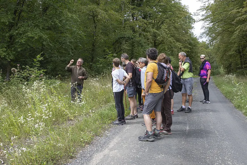 53089187480_c5af3be5c5_c