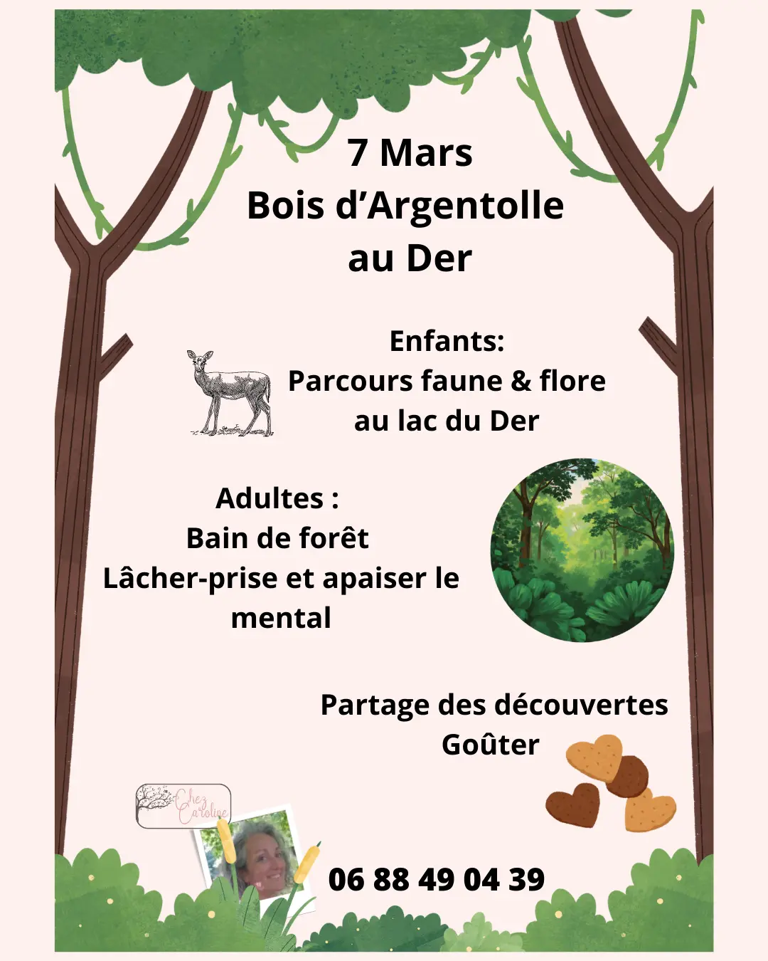 Animation nature famille - Bois d'Argentolle