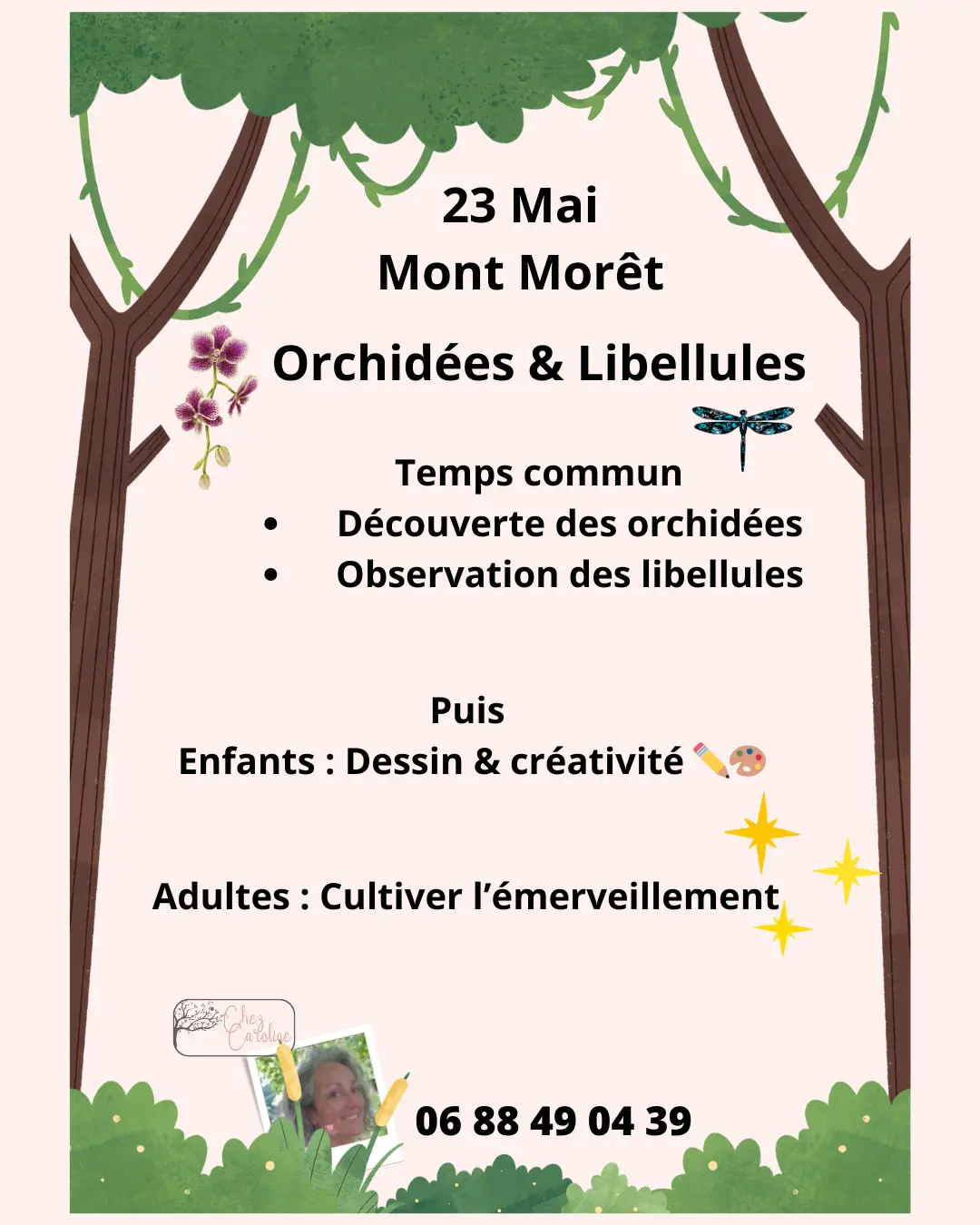 Animation nature famille - orchidées et libellules