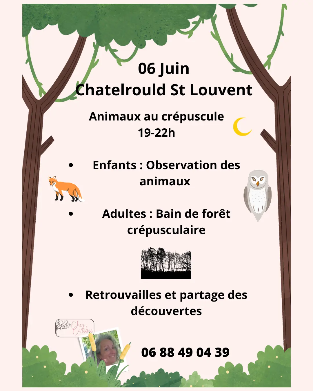 Animation nature famille - Animaux au crépuscule