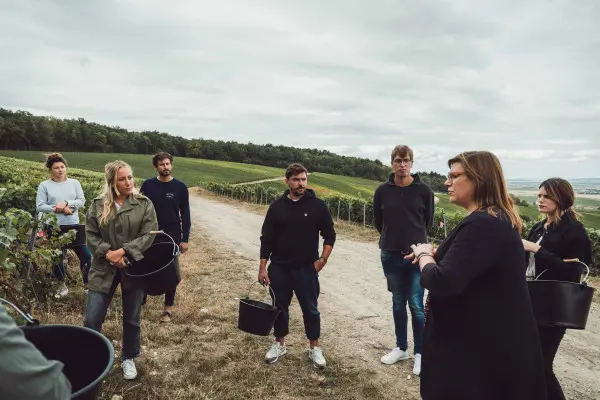 vendangeur-dun-jour-3a1fb