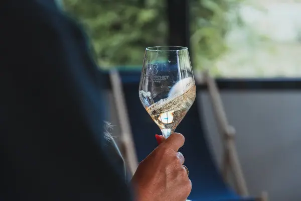 vendangeur-dun-jour-3e538