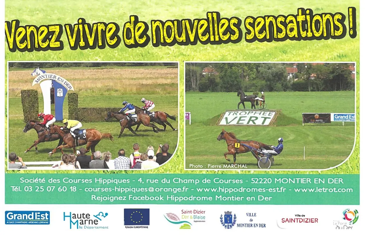 Courses hippiques
