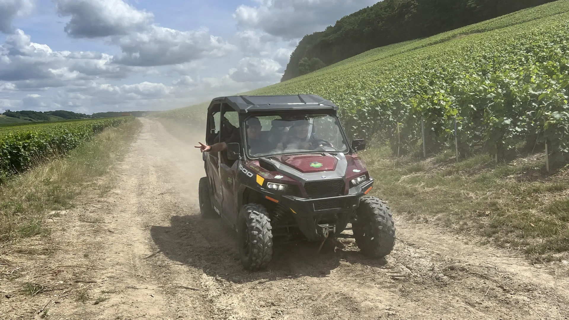 Buggy et vignes