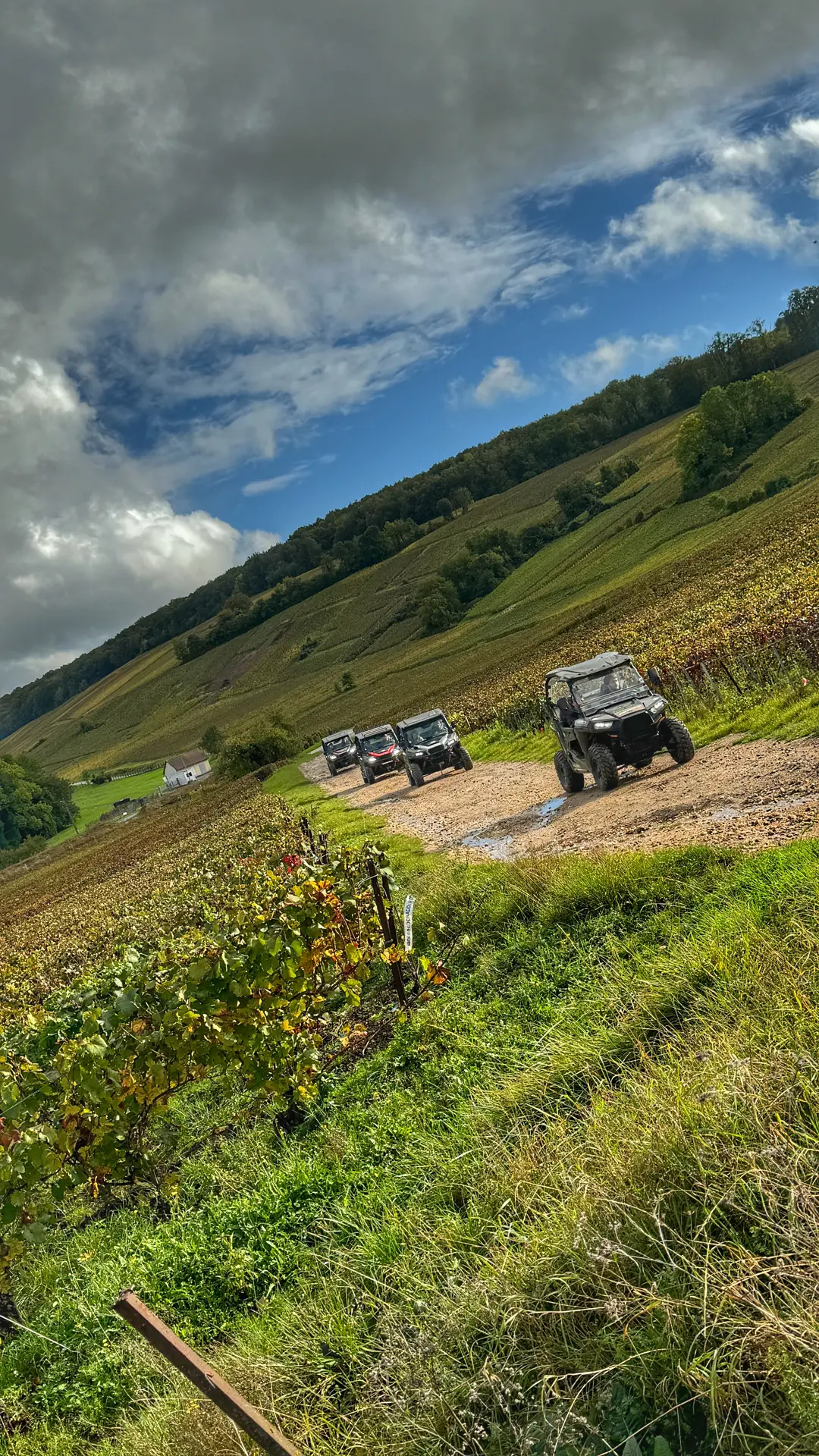 Flotte Buggys 2024 vignes