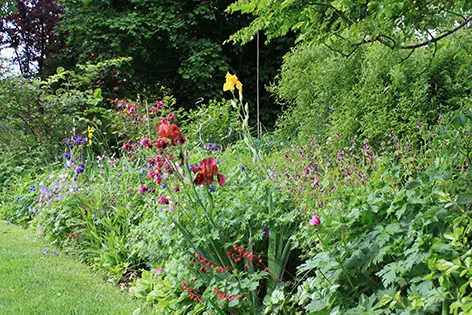 Un jardin pour tous les sens - 1 - Ceffonds