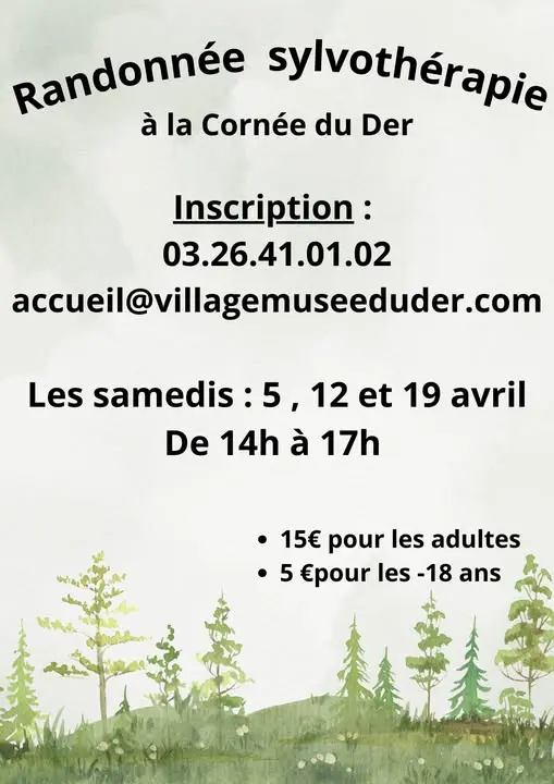 Randonnée sylvohérapie