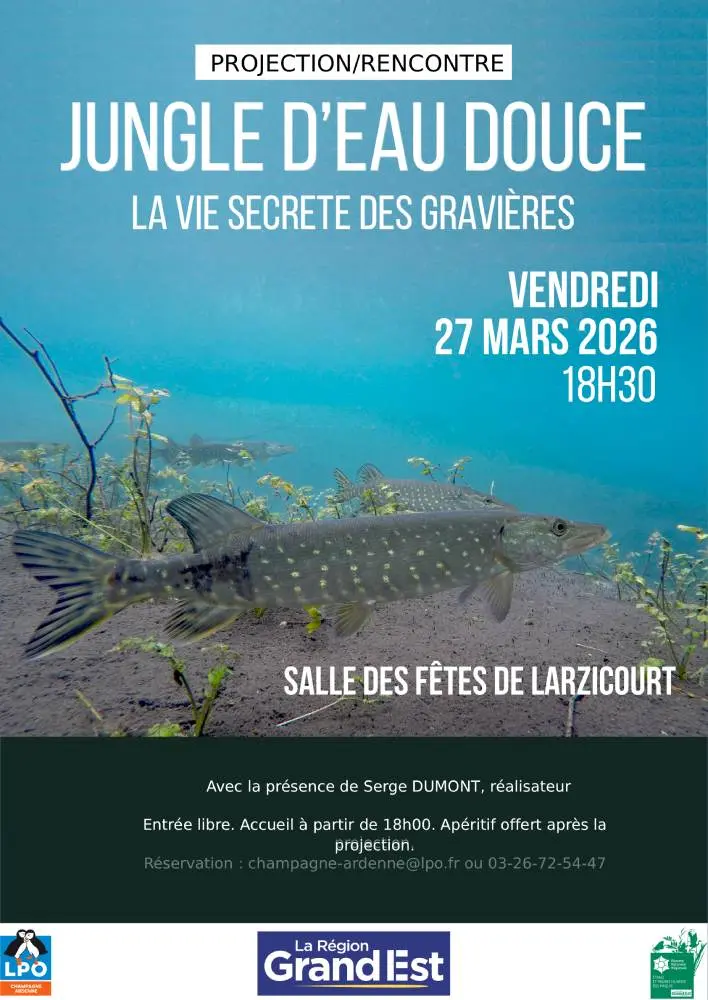 affiche_projection_jungle_deau_douce