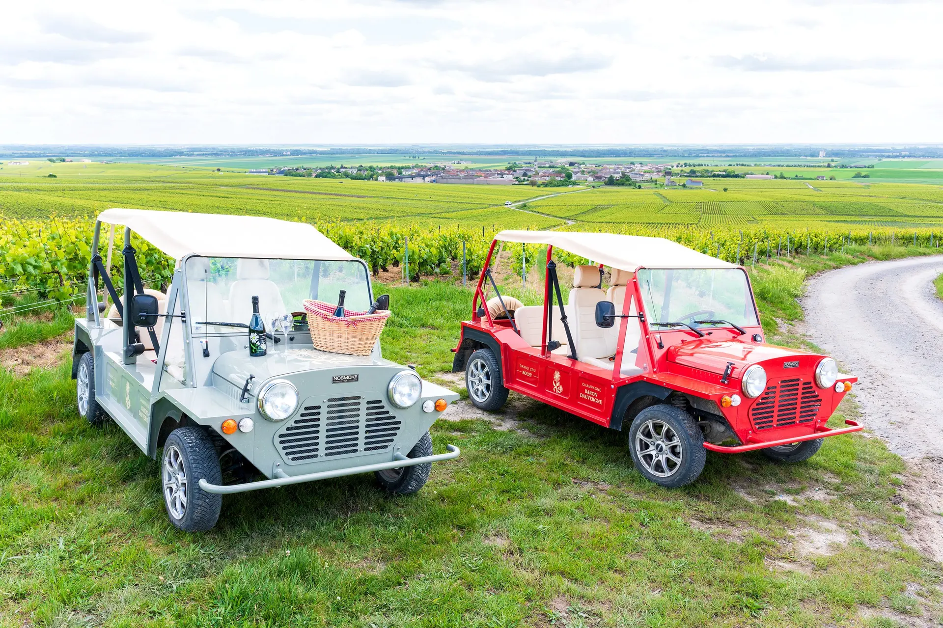 champagne-baron-dauvergne-immersion-vendanges