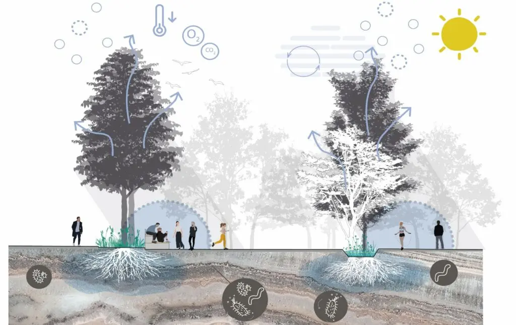 conférence sur le sol