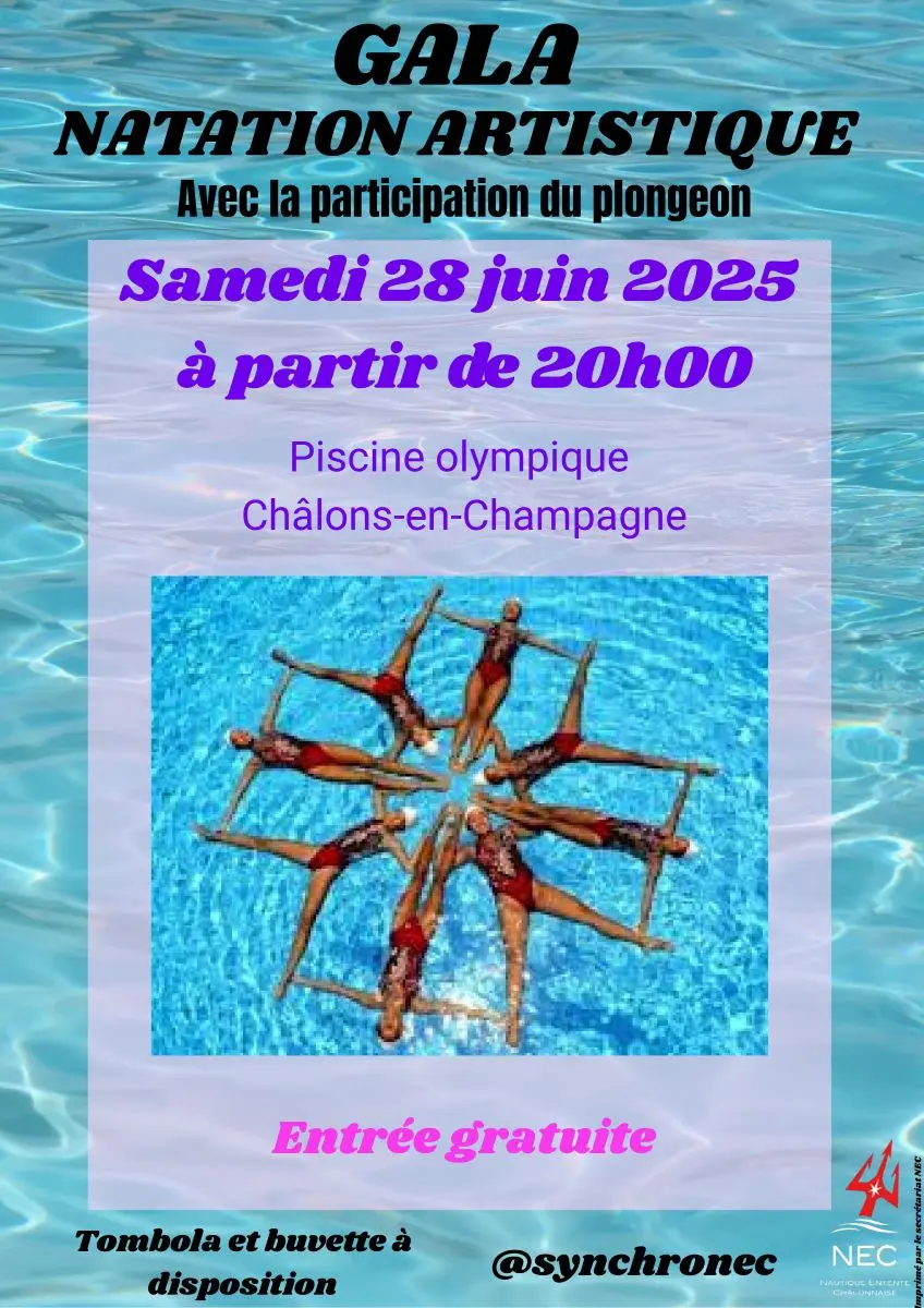 gala-natation-artistique-nec-chalons