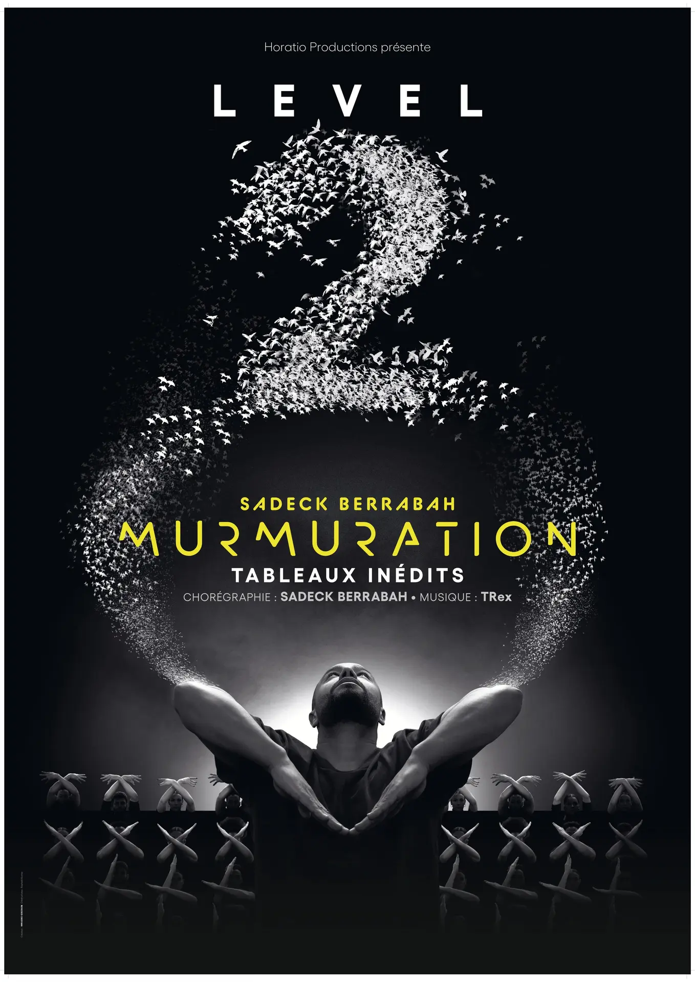 murmuration-level-2-capitole-chalons-en-champagne