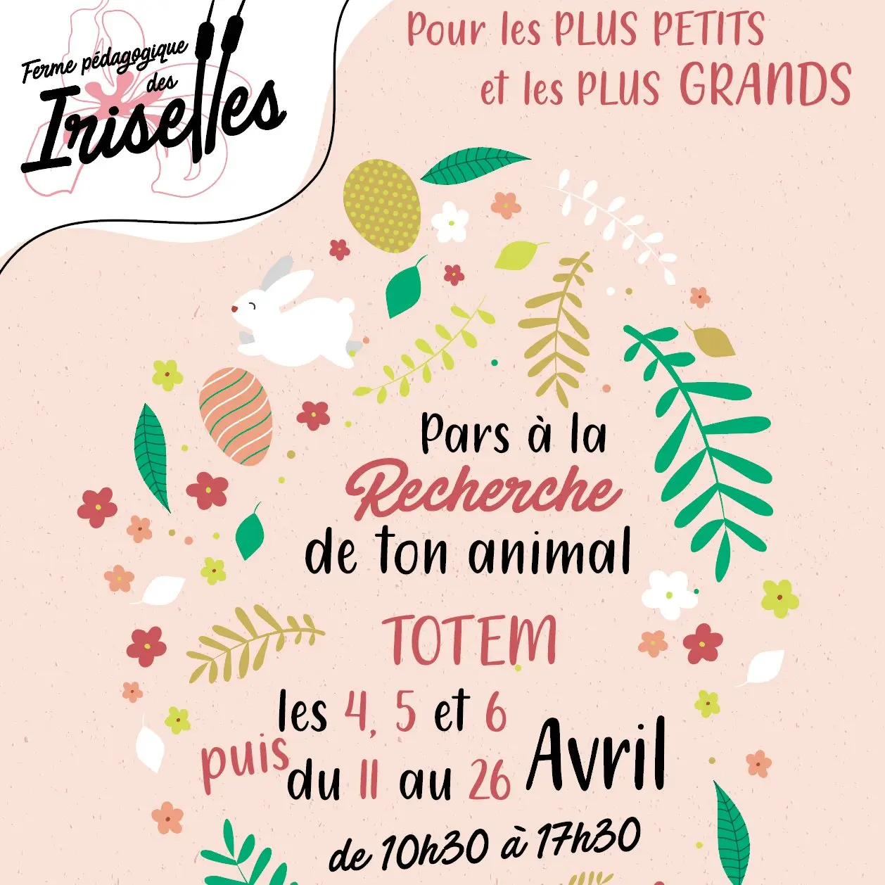 quete-de-printemps-ferme-des-iriselles