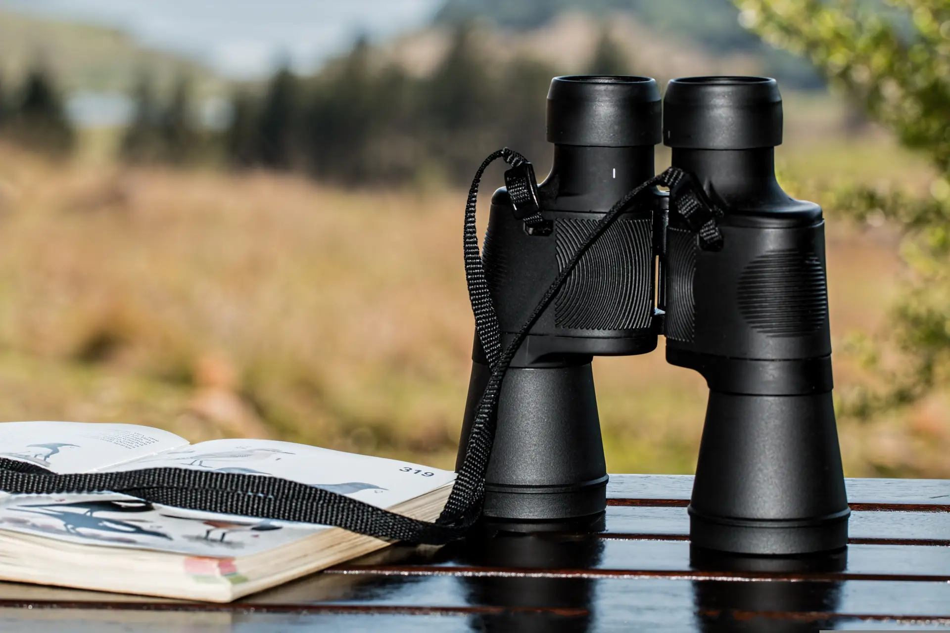 stevepb-binoculars-995779