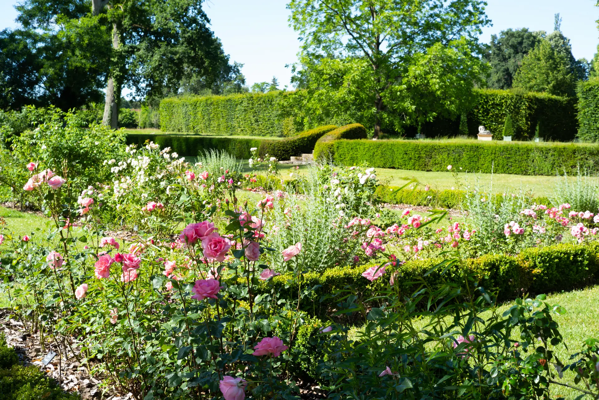 6-Château d’Ainay-le-Vieil Rose garden © Arielle de La Tour d’Auvergne (3)