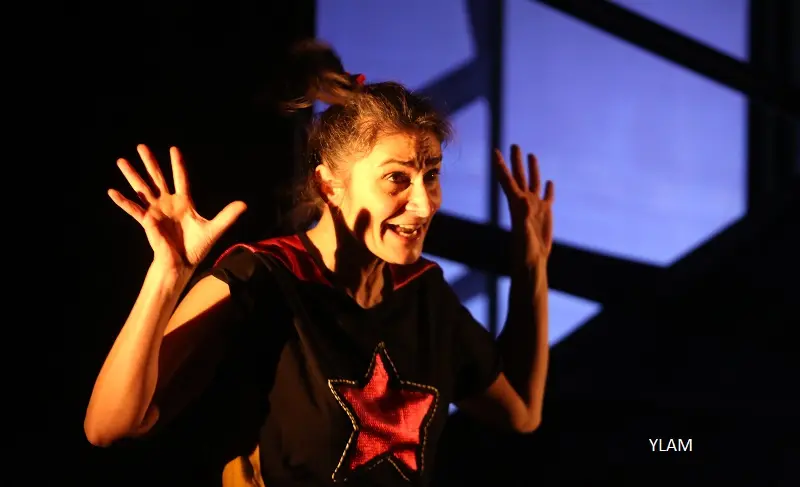 Spectacle Bagarre