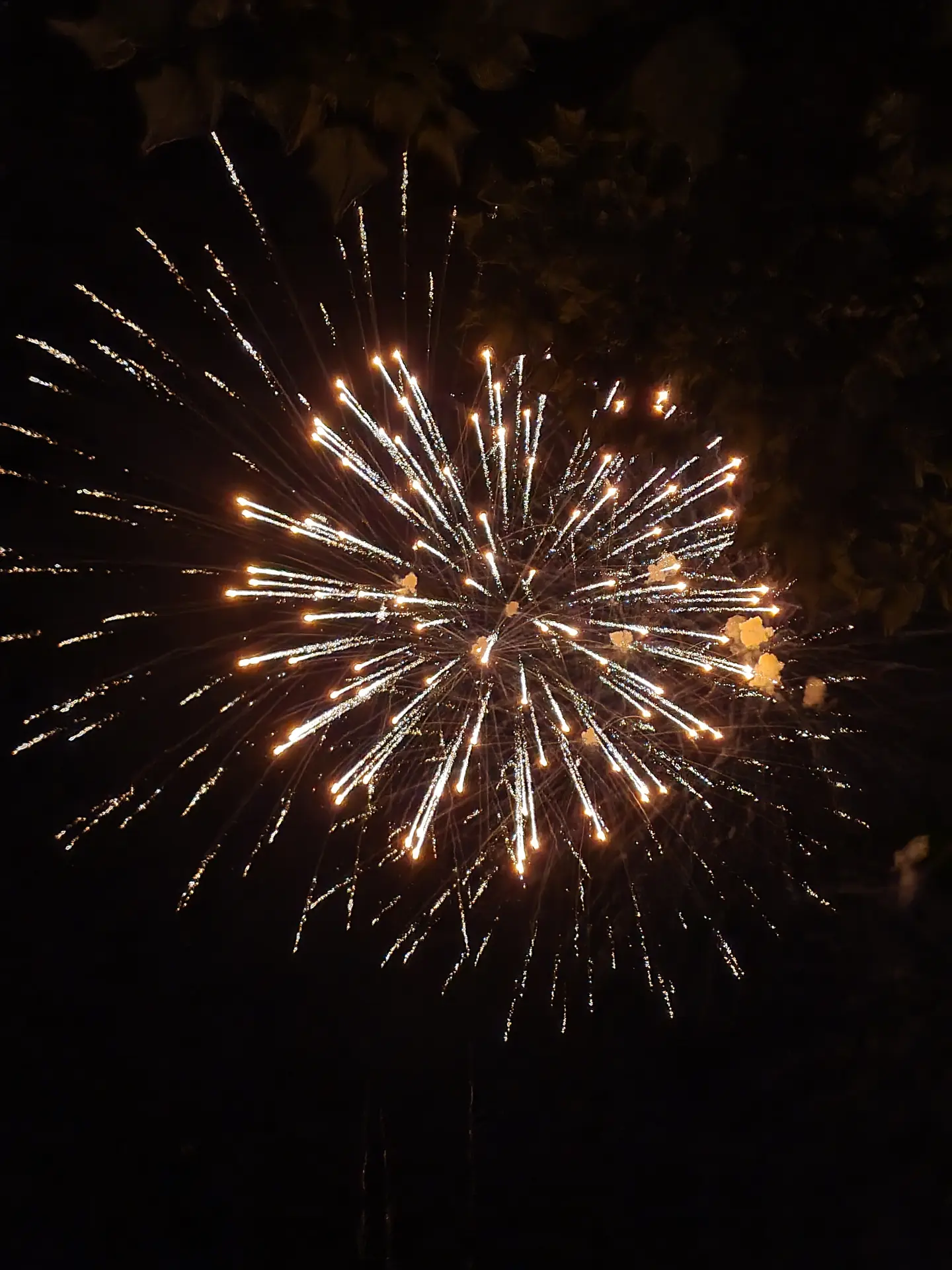 Photo feu d'artifice