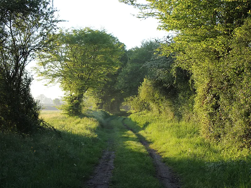 Bocage de noirlac 3 (c) Fernand Deroussen