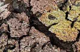 Joan SERRA Joan SERRA