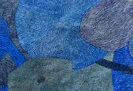 Coco TÉXÈDRE Coco TÉXÈDRE