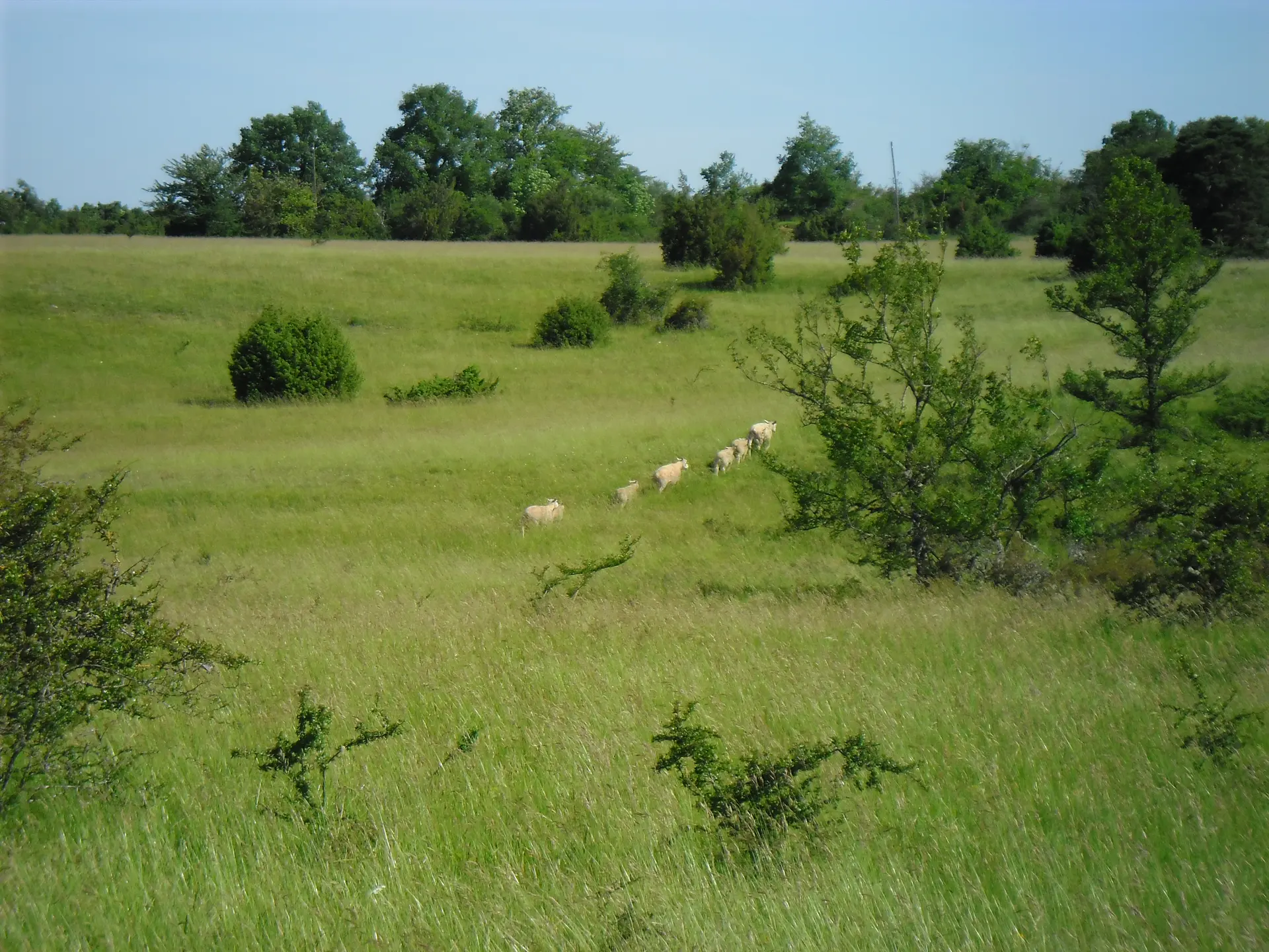 Chaumes Périsse_CD18
