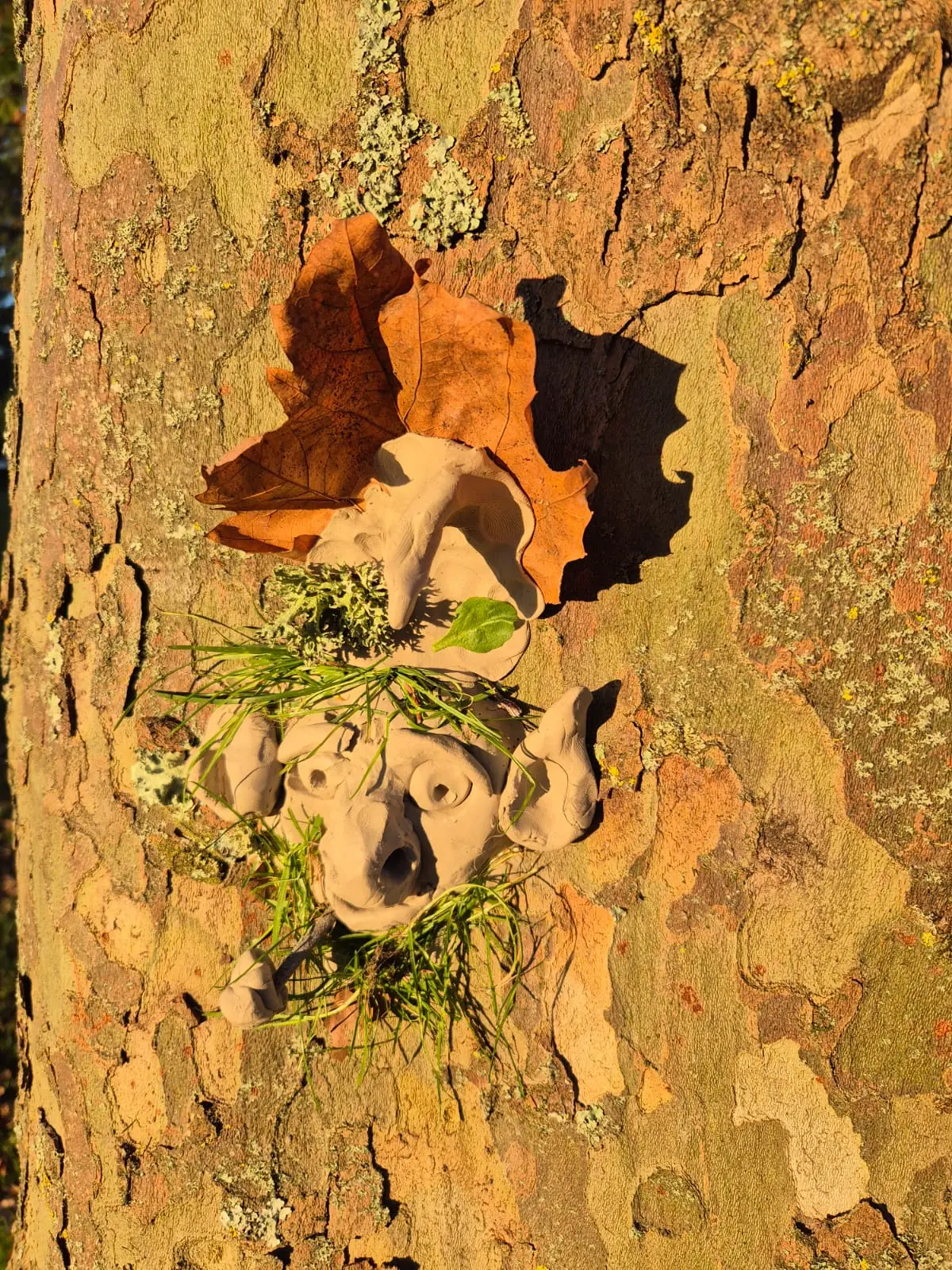 Photo - Sortie Nature Halloween - Aubigny-sur-Nère