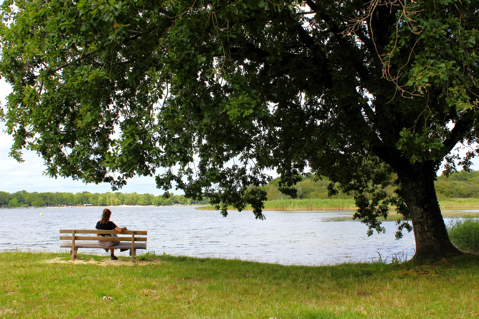Photo - Etang du Puits