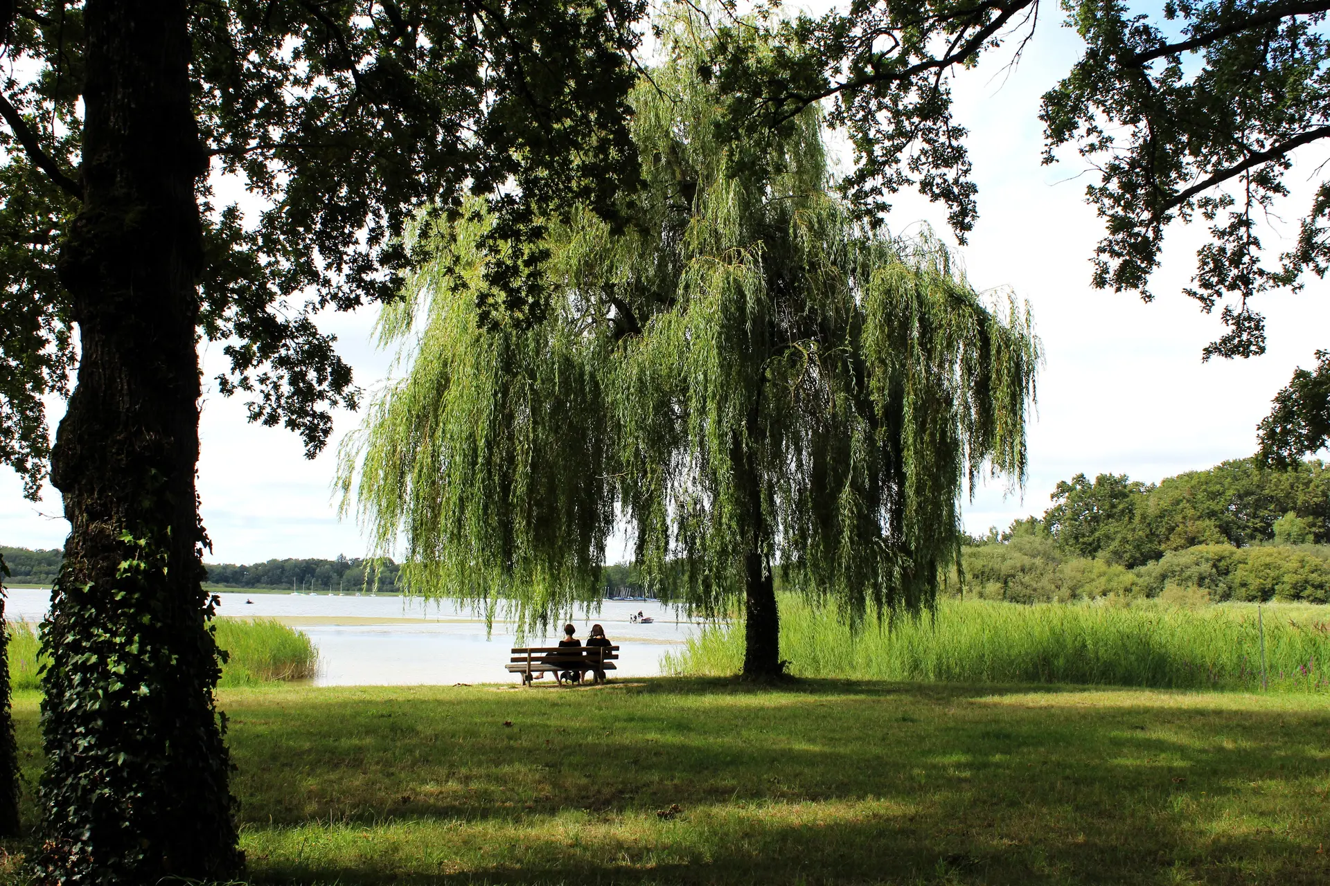 Photo Etang du Puits