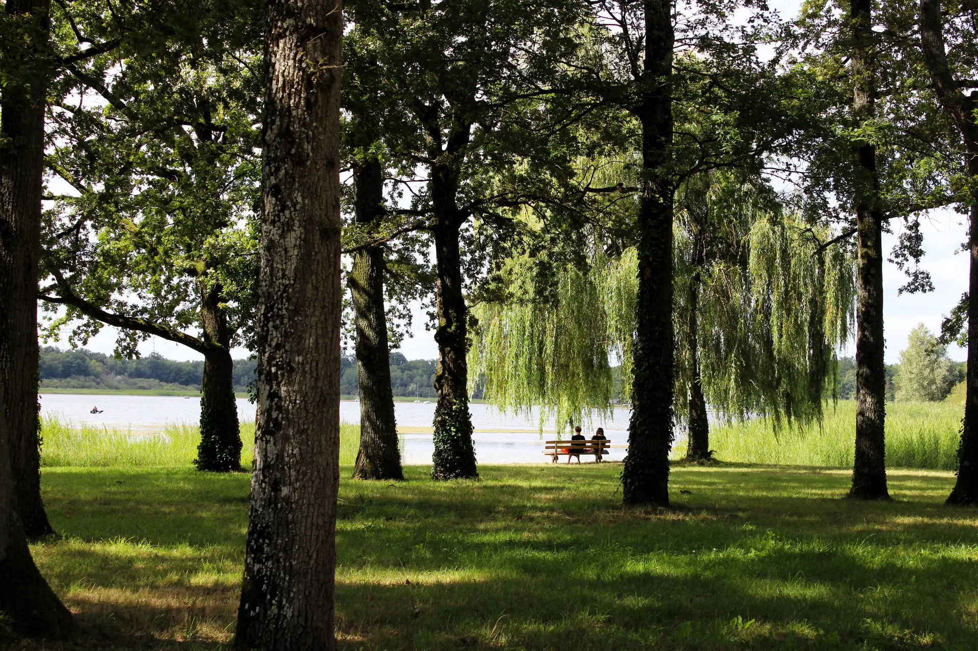 Photo - Etang du Puits