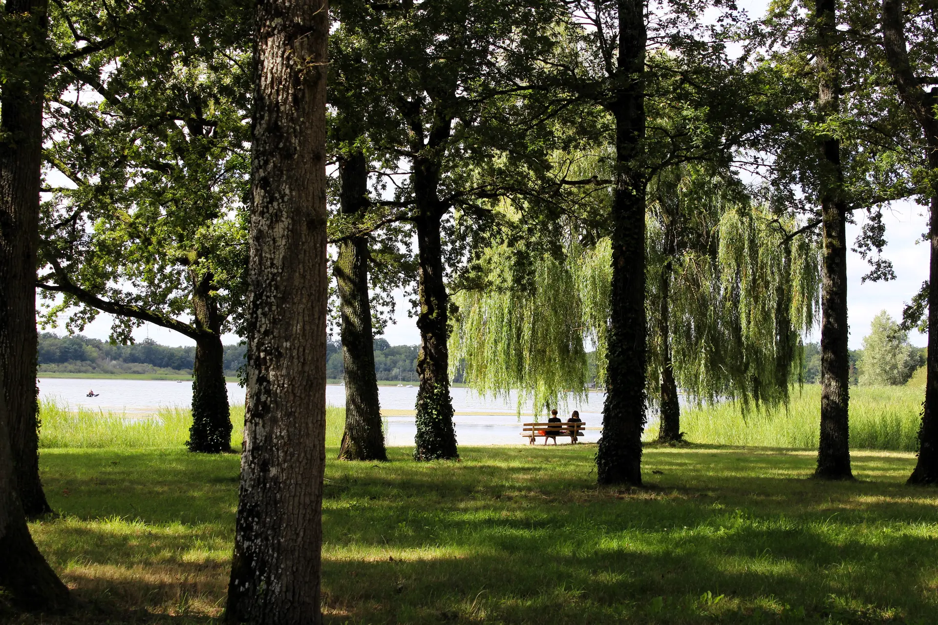 Photo - Etang du Puits