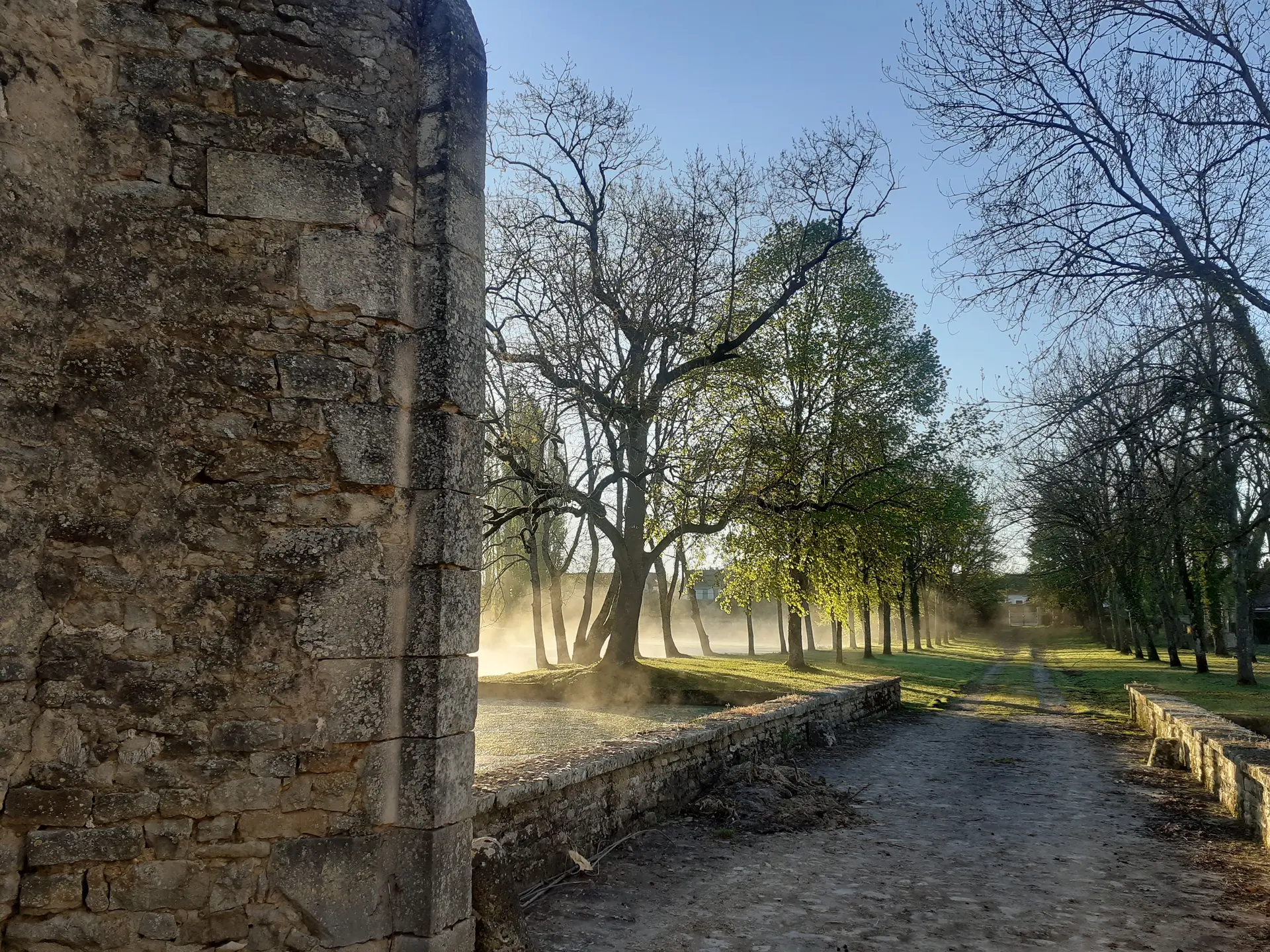 Parc du château dans le brouillard