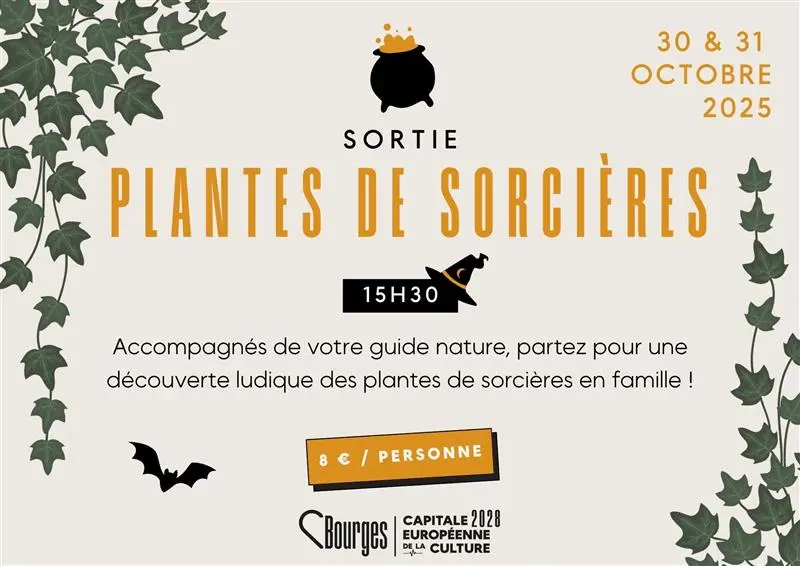 SORTIE CHAMPIGNON & SORCIERE PAYSAGE (2) 1