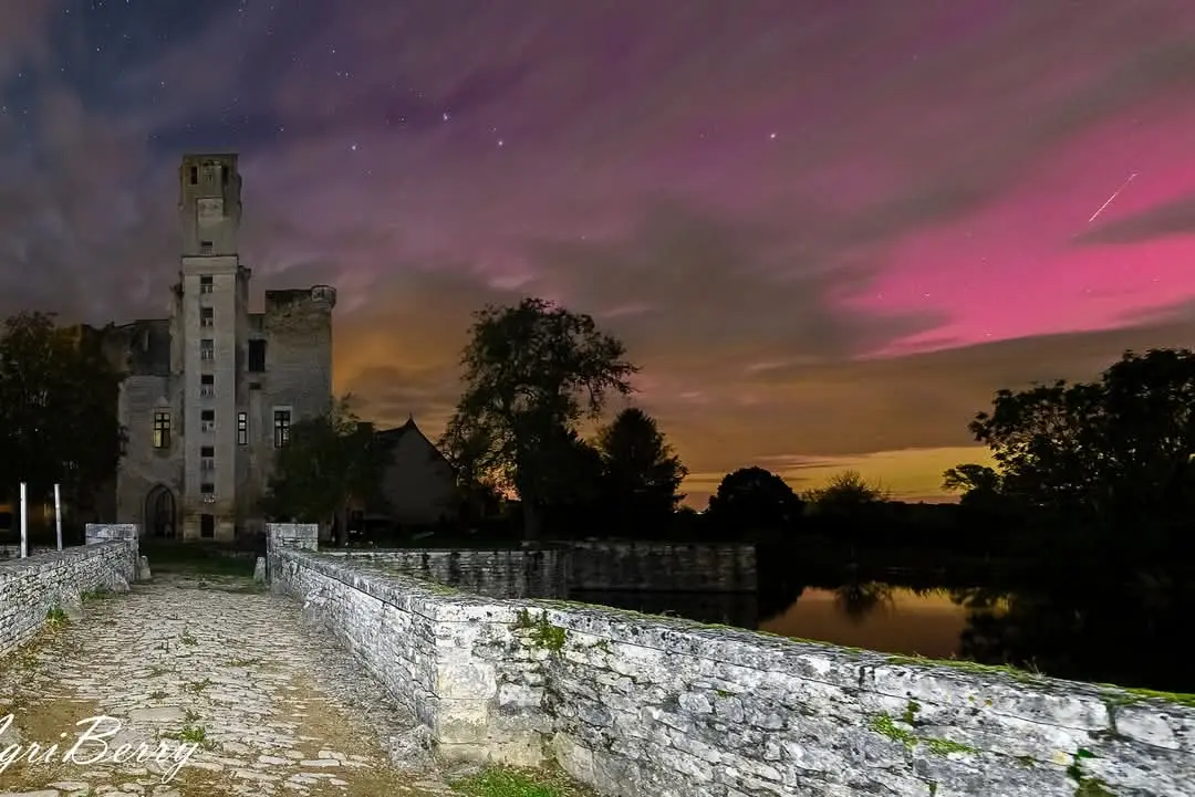 agriberry 2 zsagonne nuit