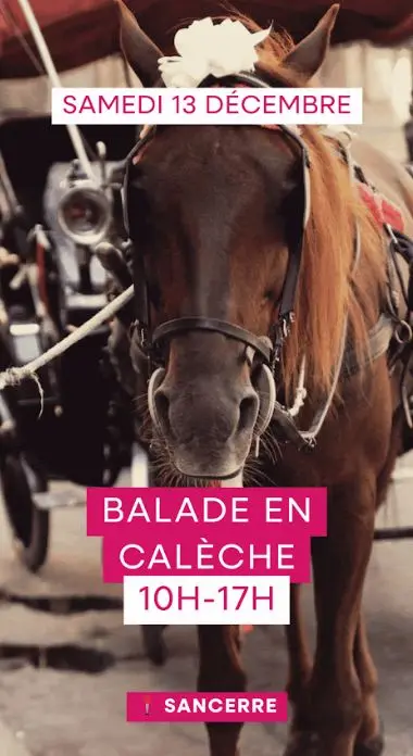 balade caleche samedi
