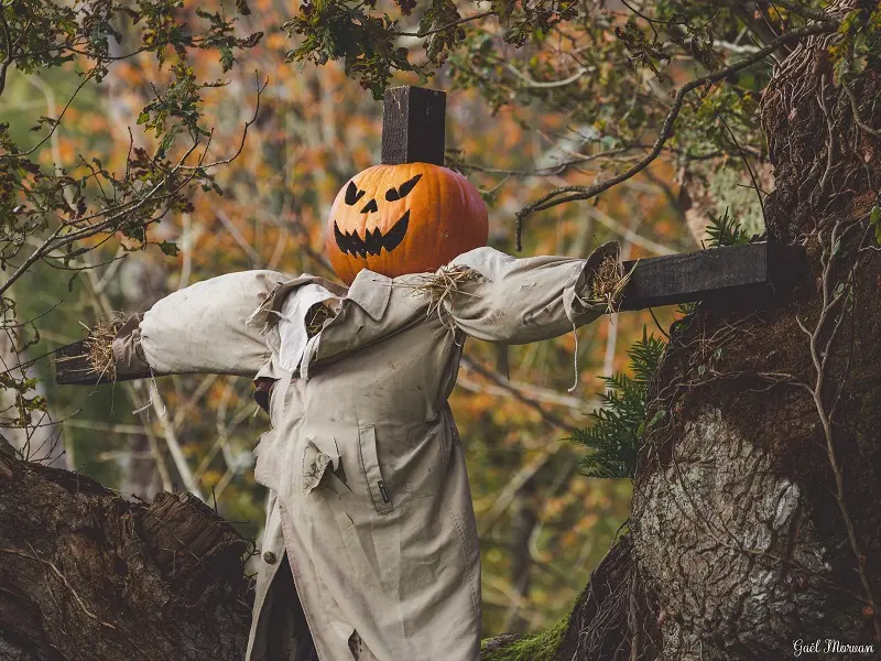 Fêtedelasorcière_CentreArthurien_Comper_Concoret_DestinationBrocéliande