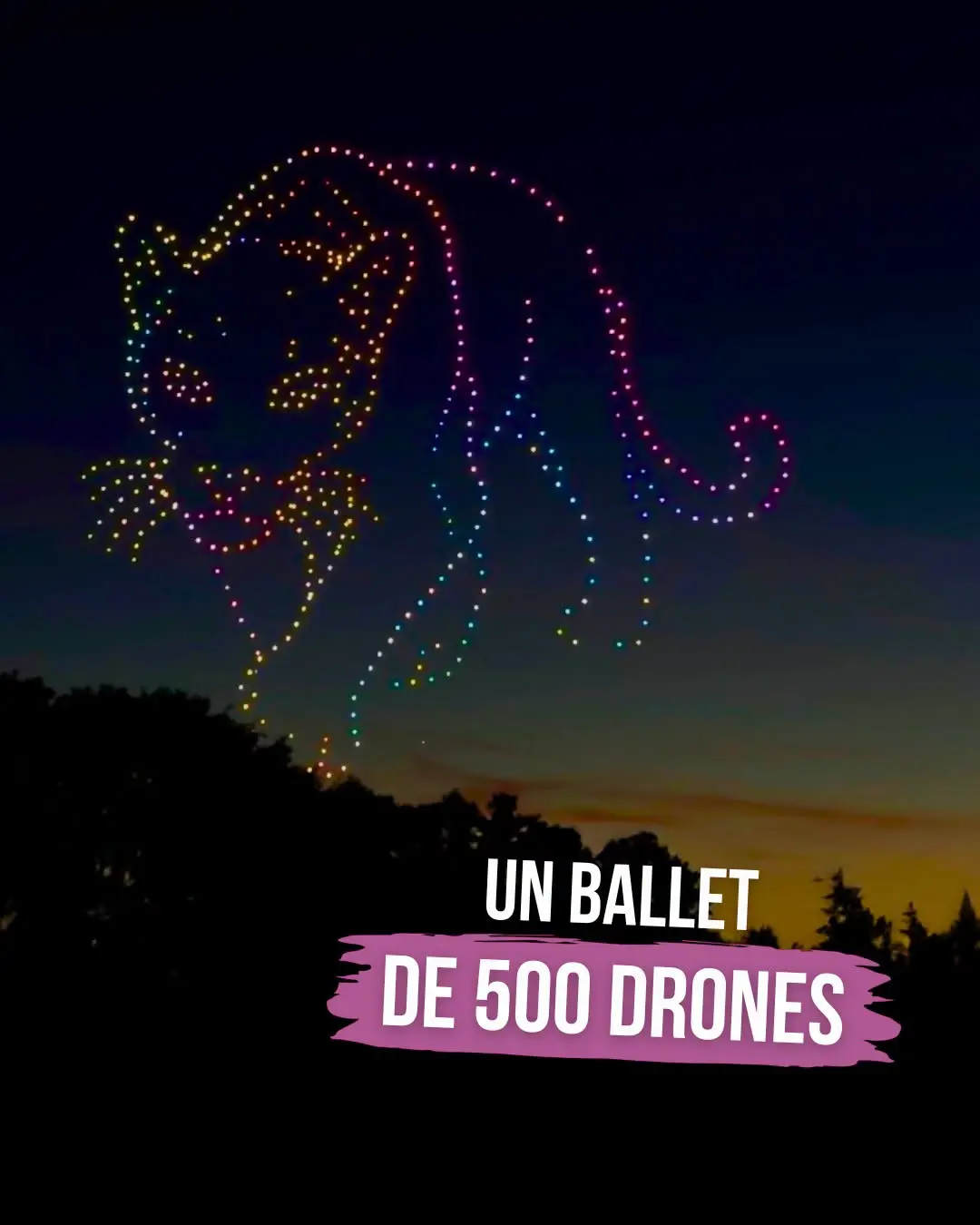 Veillées étoilées