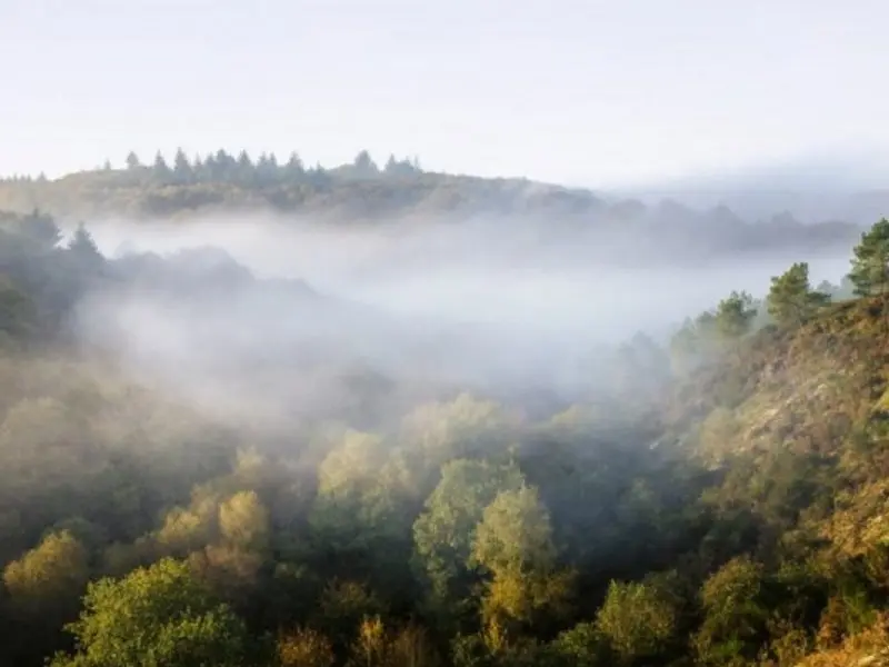 panorama-val-sans-retour-balade-contée-Brocéliande