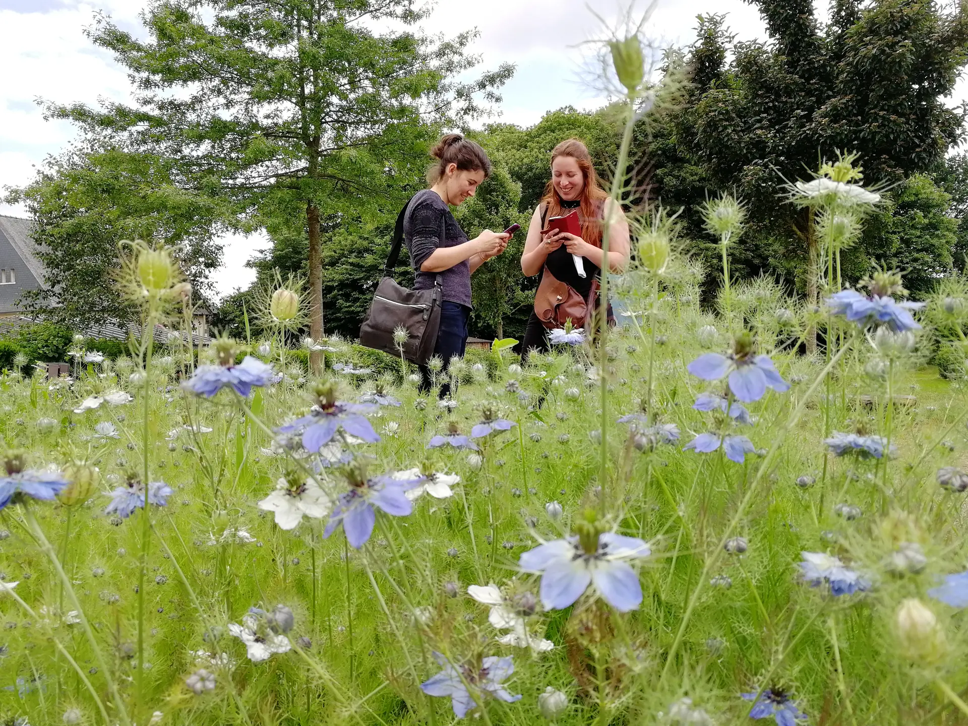 Jardin médiéval Bédée Village Etape