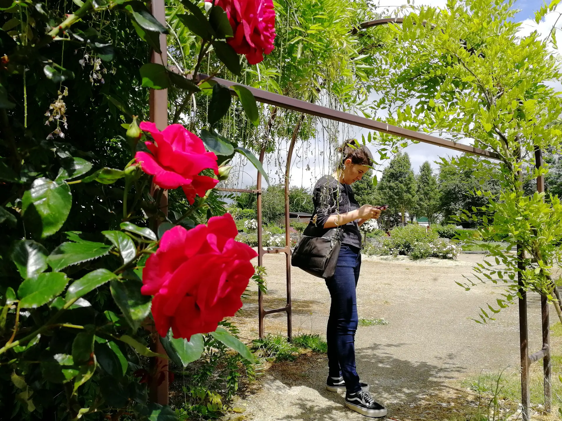 Jardin médiéval Bédée