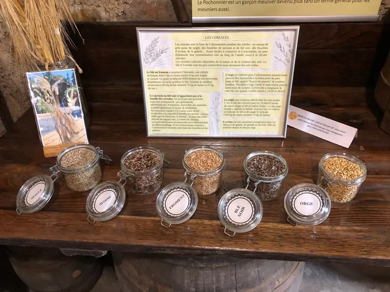 moulin_tremel_visite_Néant_sur_Yvel_DESTINATIONBROCELIANDE