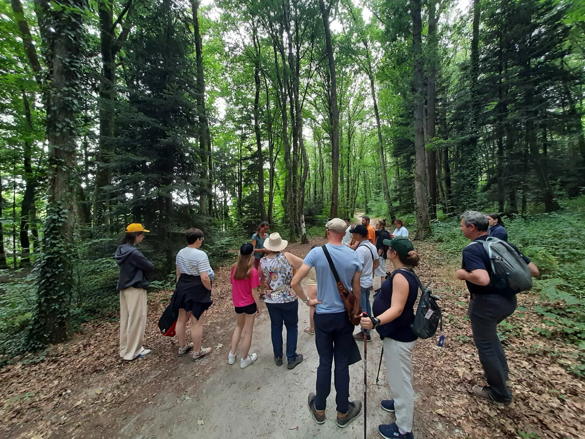 Balade contes et créations de nature